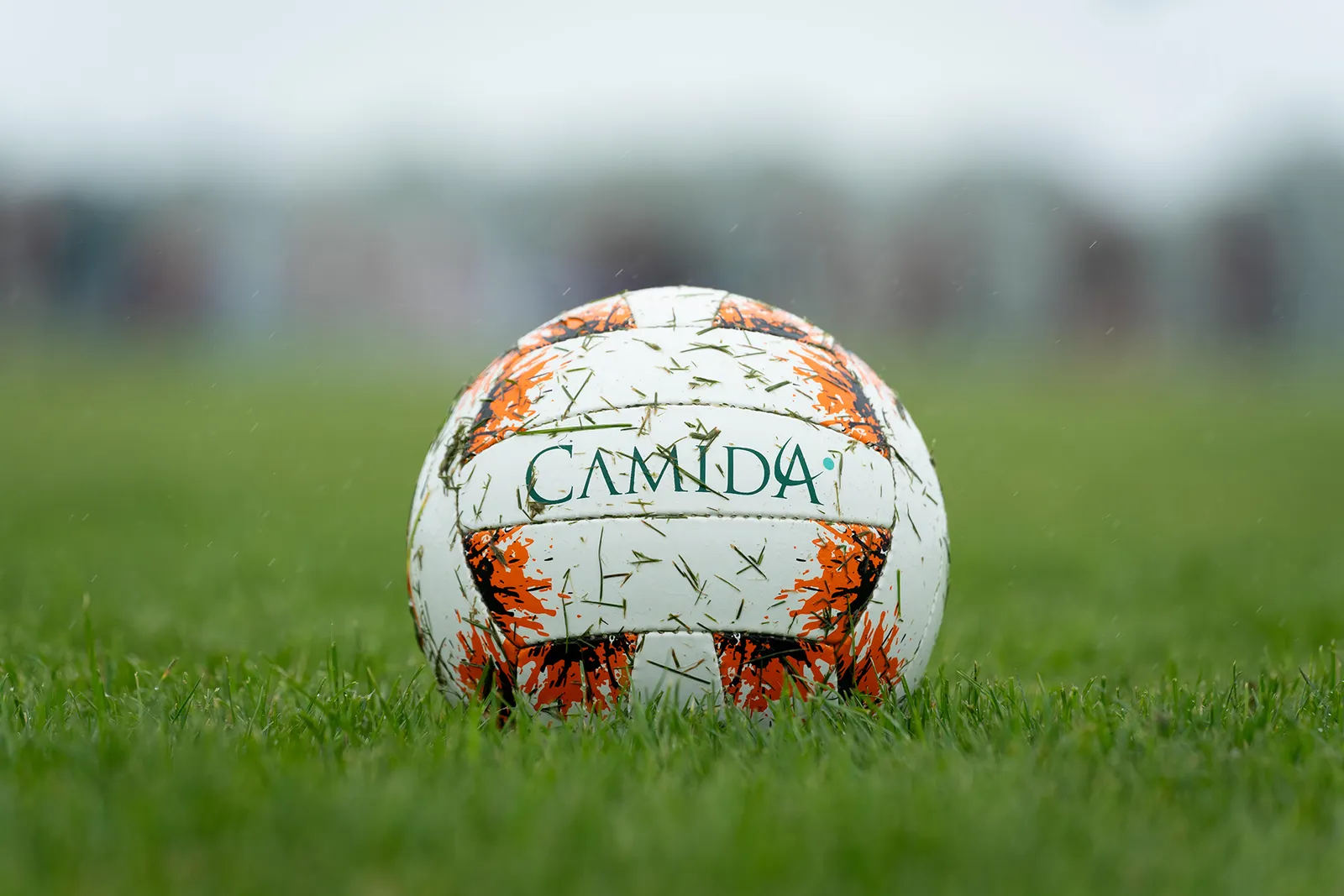 Camida Flowers