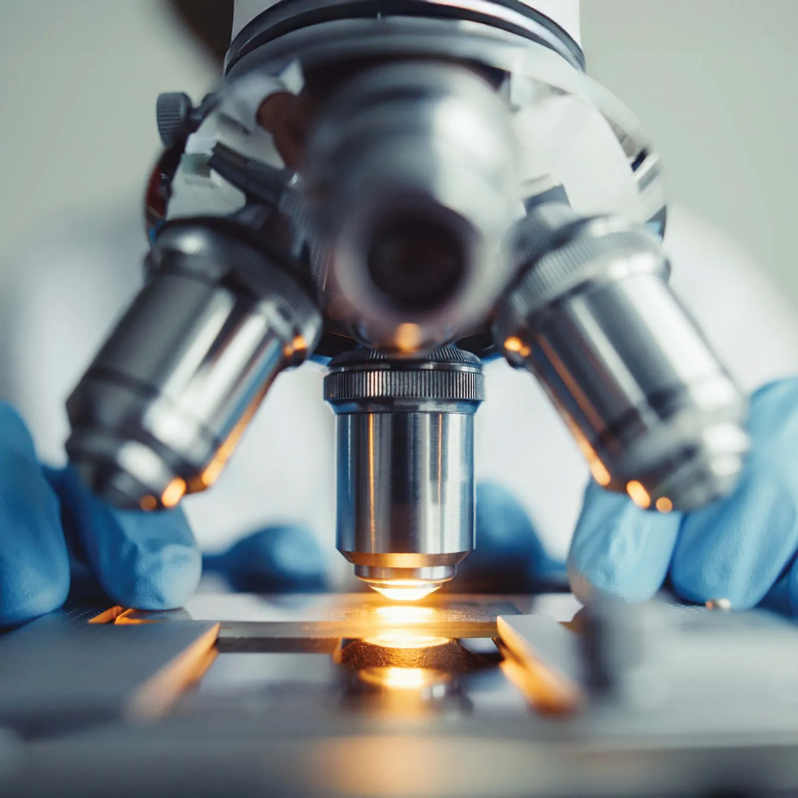 Example biotech